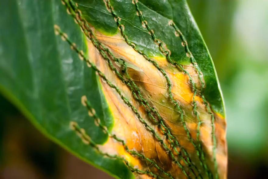 Những tác phẩm của Hillary Waters Fayle nhìn có vẻ đơn giản, từ vật liệu đến phương thức sáng tạo. (Nguồn Bored Panda)