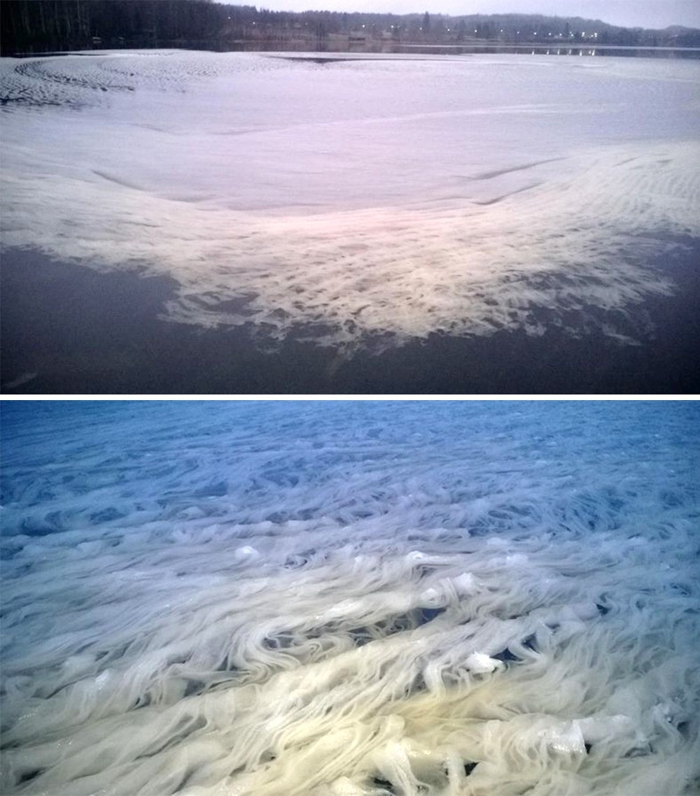 Tuyết "spaghetti" hay tuyết mỳ Ý là một trong những hiện tượng thiên nhiên độc đáo nhất thế giới. Hiện tượng này xảy ra ở Phần Lan, do một người đàn ông ở Hameenlinna phát hiện. Theo các chuyên gia, hiện tượng này được hình thành bởi chuyển động của gió và nước trước khi tuyết tan chảy.(Nguồn Bightside)