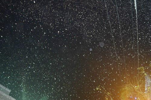 Người dân thích thú nhất là hình ảnh tuyết rơi nhân tạo được phun ra trên đường Phạm Thế Hiển ngợp trời.