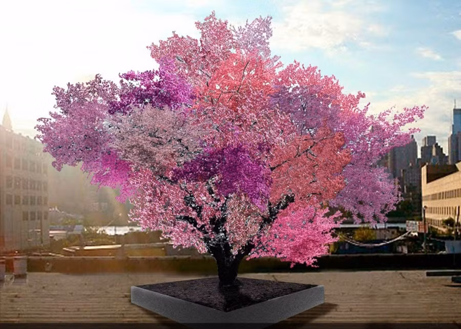 Cây Frankenstein, Mỹ, sở dĩ được gọi bằng cái tên của một con quái vật như thế bởi đặc tính chắp vá, lắp ghép của mình. Một cây nhưng có thể ra đến 5 màu hoa khác nhau. (Nguồn Brightside)