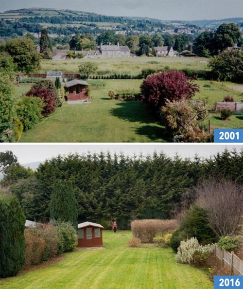 Chieu tra thu hang xom cao tay suot 18 nam cua ba lao 70-Hinh-2