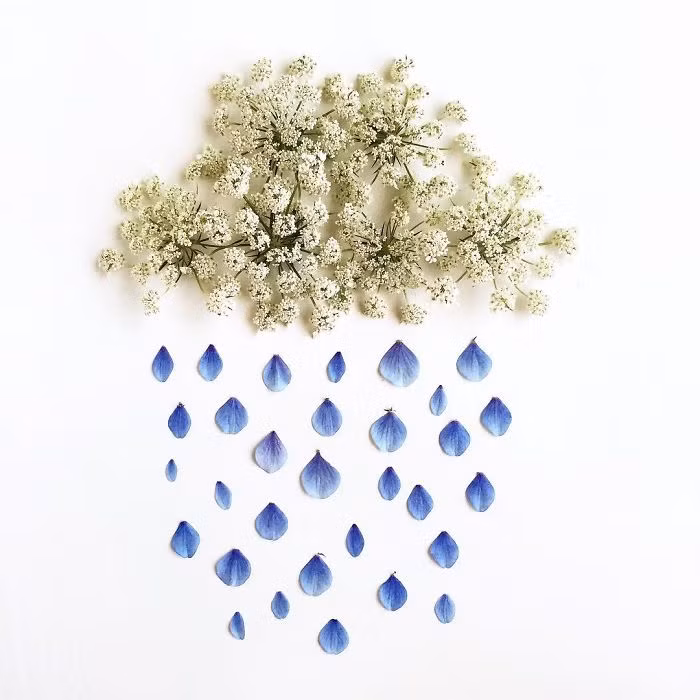 Những tác phẩm của Bridget Collins thúc đẩy họ ra ngoài và khám phá thiên nhiên, tận hưởng vẻ đẹp của thiên nhiên. (Nguồn Bored Panda)