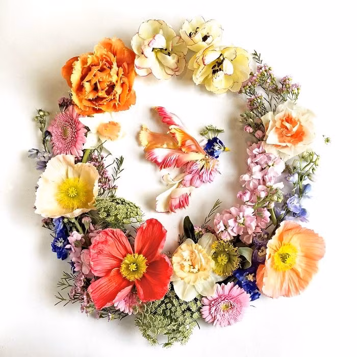 Nhiều người cho rằng khi chiêm ngưỡng những tác phẩm của Bridget Collins, họ cảm thấy cuộc sống màu sắc hơn. (Nguồn Bored Panda)