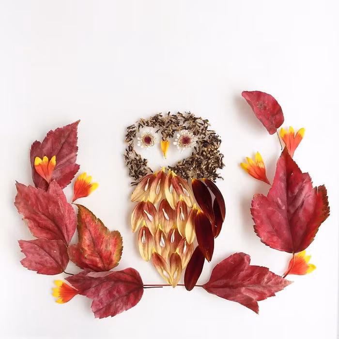 Giúp họ tìm được niềm vui trong cuộc sống, giúp họ tìm thấy niềm đam mê mới với thiên nhiên. (Nguồn Bored Panda)