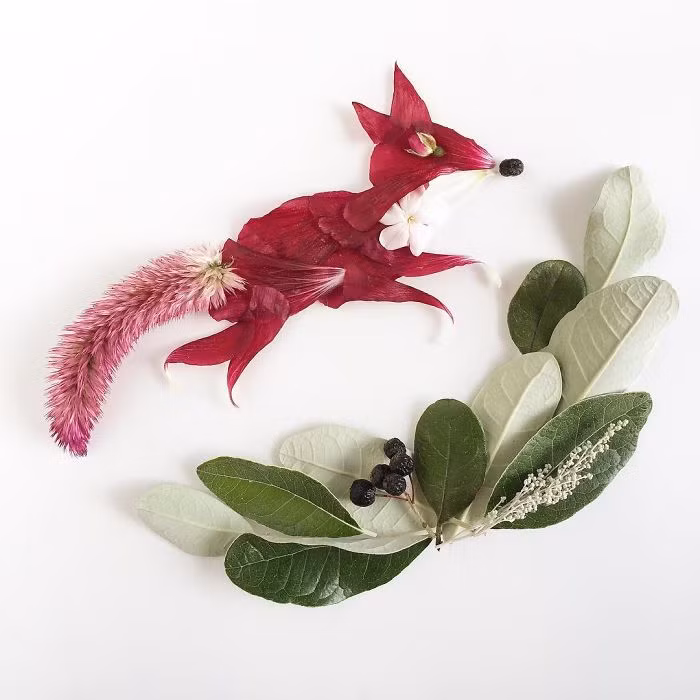 (Nguồn Bored Panda)