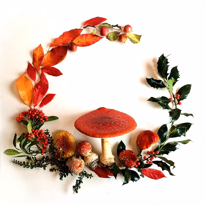 (Nguồn Bored Panda)