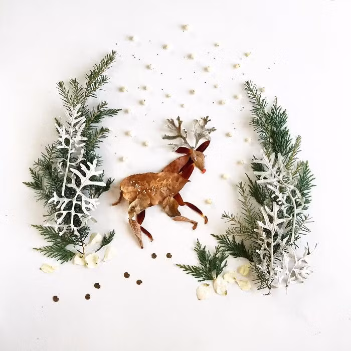 Bridget Collins hiện đã có hơn 200.000 người theo dõi trên trang Instagram cá nhân. (Nguồn Bored Panda)