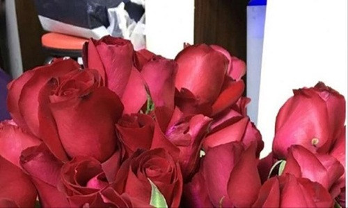 Co gai bien 99 doa hong cau hon thanh siro