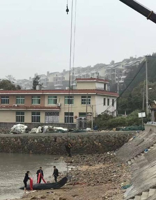 Lần này khi được phát hiện, con cá voi dạt bờ đã chết một thời gian. Xác của nó được các cơ quan quản lý môi trường địa phương dùng cần cẩu, xe chuyên dụng để đưa đến nơi khác tiêu hủy. (Nguồn Sina)