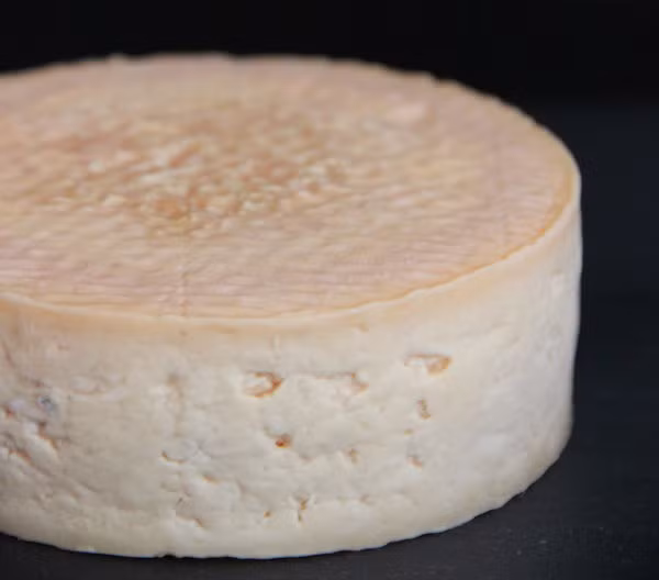 Có một loại pho mát được làm từ rốn. Chỉ nghe thôi đã thấy rợn người nhưng thực sự có loại pho mát làm từ những chất bẩn được tìm thấy trong rốn. Cụ thể, nhà sinh vật học Christina Agapakis và nghệ sĩ Sissel Tolaas đã hợp tác để làm pho mát từ các vi khuẩn được tìm thấy ở nách, chân, miệng và rốn. (Nguồn Boredomtherapy)