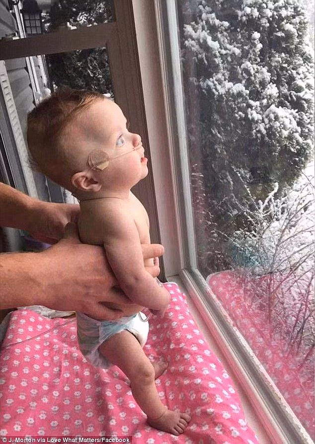 Nhung buc anh tinh cha me gay xuc dong nhat nam 2016-Hinh-8