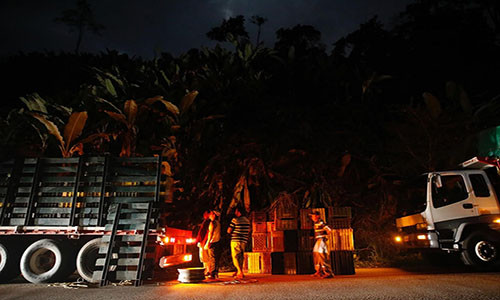 Được biết, tính riêng trong tháng 1/2018 tại Venezuela đã xảy ra 162 vụ cướp, trong đó có 42 vụ cướp xe tải.