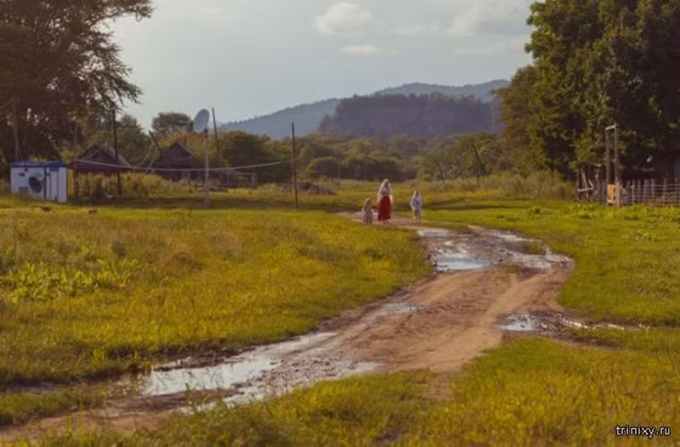 Con đường đất trong làng.