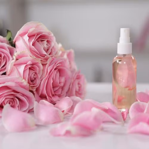 Nước hoa hồng không chỉ giúp cấp nước cải thiện môi bị nứt nẻ mà còn cải thiện màu môi, giúp môi hồng hơn.