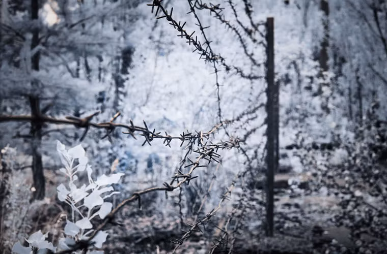Hàng rào thép gai trong thị trấn hàng chục năm sau thảm họa hạt nhân Chernobyl.