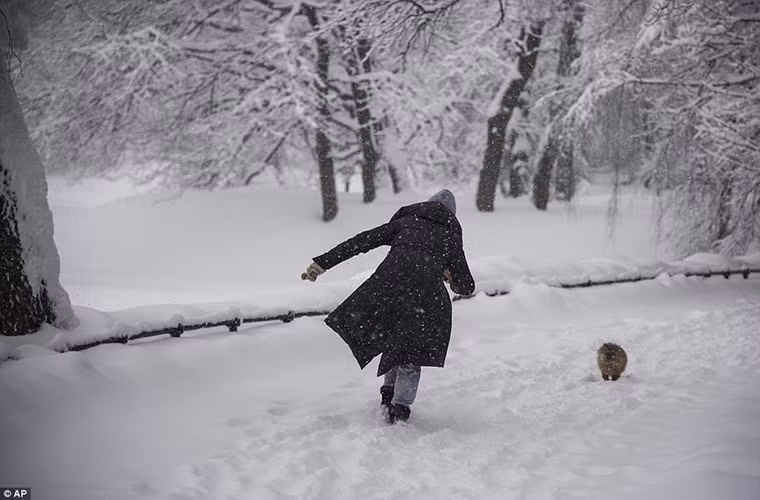 “Hơn 2.000 cây cối đã bị quật đổ trong mưa tuyết và gió mạnh. Trong đó, một cây xanh bị đổ đã khiến một người thiệt mạng và 5 người khác bị thương”, Thị trưởng Moscow Sergei Sobyanin cho hay. Ảnh: AP.