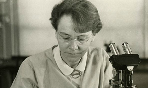 Nhà di truyền học Barbara McClintock vinh dự được nhận giải Nobel Sinh học năm 1983 và trở thành người phụ nữ tại Mỹ đầu tiên nhận được giải thưởng khoa học danh giá này. Bà đã có nghiên cứu mang tính đột phá về bộ gen cây ngô. Theo bà McClintock, bộ gen của ngô không phải cố định. Nó có rất nhiều sự thay đổi qua các đời khác nhau, trong đó chưa kể đến các đột biến.