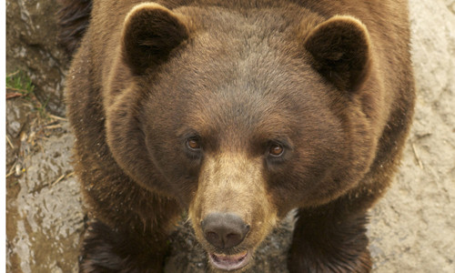 Nhung “thien than cuu mang” doc nhat vo nhi trong lich su-Hinh-4