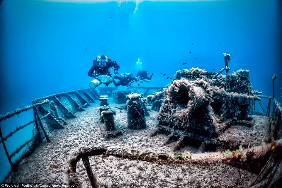 Xác tàu đắm cũng trở thành nơi phát triển các rạn san hô.