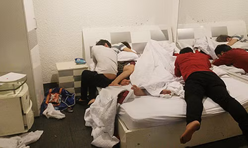 Toi ac kinh hoang cua ngao da doi hang