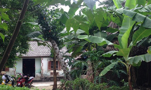 Phan no voi ga trai 9X hiep dam ca cu ba