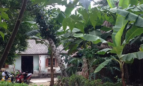 Phan no voi ga trai 9X hiep dam ca cu ba