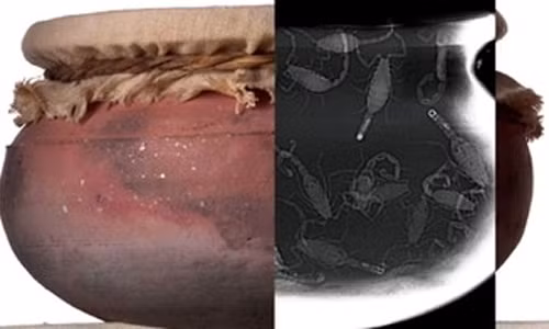 “Lựu đạn bò cạp”: “Lựu đạn bò cạp” là một trong những vũ khí côn trùng cổ xưa nhất thế giới khi được sử dụng cách đây khoảng 2.000 năm. Cụ thể, trong trận chiến chống lại Lưỡng Hà, hoàng đế La Mã Septimius Severus đã phải dừng cuộc tấn công trước pháo đài Hatra. Đây là một pháo đài quân sự vô cùng kiên cố được bao quanh bởi những bức tường cao và dày. Do vậy, nó được coi là pháo đài bất khả xâm phạm. 