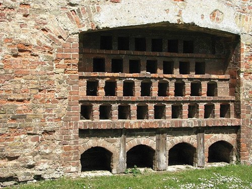 Phi tiêu ong: Người dân Nigeria sử dụng ong làm một vũ khí nguy hiểm. Theo đó, họ cho ong vào trong những ống bằng gỗ hoặc tre nứa rồi sau đó thổi chúng về phía kẻ thù giống như thổi phi tiêu. Tại những pháo đài ở Anh, Scotland và xứ Wales thời trung cổ chứng kiến việc con người sử dụng ong làm vũ khí theo một cách khác, hiệu quả và an toàn hơn. Theo đó, người ta nuôi ong ngay tại pháo đài. 