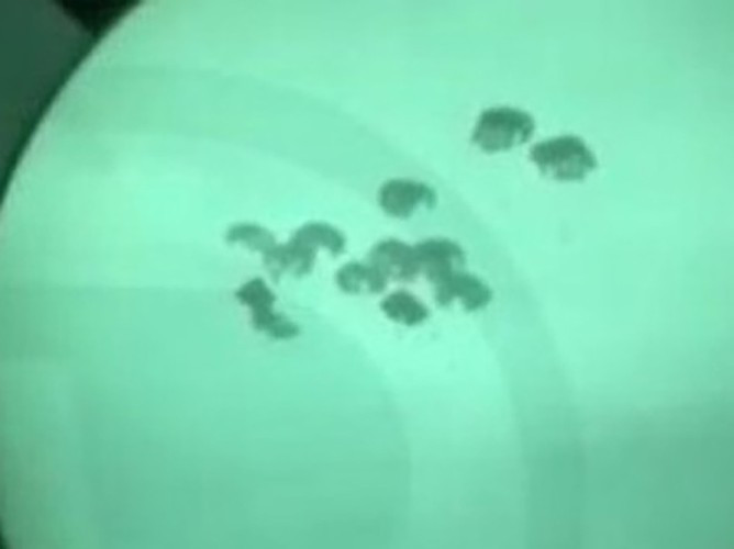 Vụ việc máy bay Mỹ xâm phạm Không phận Syria để tiếp tế vũ khí trang bị cho lực lượng phiến quân cho thấy một lỗ hổng lớn trong giám sát không phận Syria.