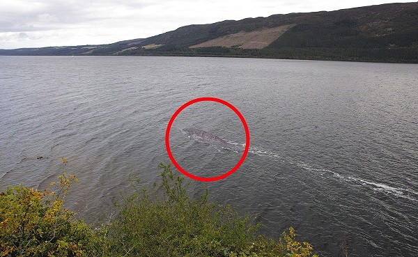 Từ đó cho đến nay, rất nhiều hình ảnh khác nhau của quái vật Nessi đã được các “thợ săn quái vật” chụp lại được.