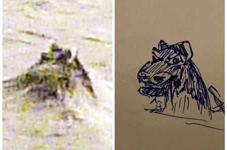 Sau đó, tác giả của bức ảnh còn họa lại đầu của con quái vật.