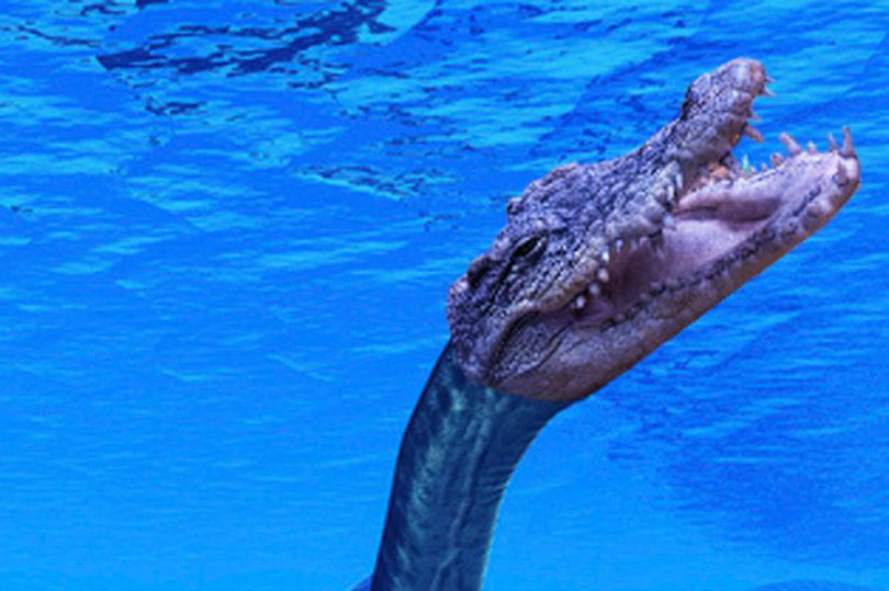 Theo tác giả Andy McGrath của cuốn sách Beasts of Britain, đã có 7 nhân chứng tận mắt chứng kiến một loài động vật lưỡng cư dài tới 12ft ở hồ lớn nhất và sâu nhất xứ Wales - hồ Bala trong Vườn quốc gia Snowdonia.