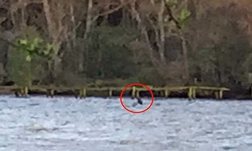 Hayley Johnson, một vị khách đến từ Manchester cũng đã ghi lại một vật thể nhô lên giữa mặt nước khi tham quan hồ Lock Ness, và nó được cho là đó chính là quái vật nổi tiếng của hồ nước này.