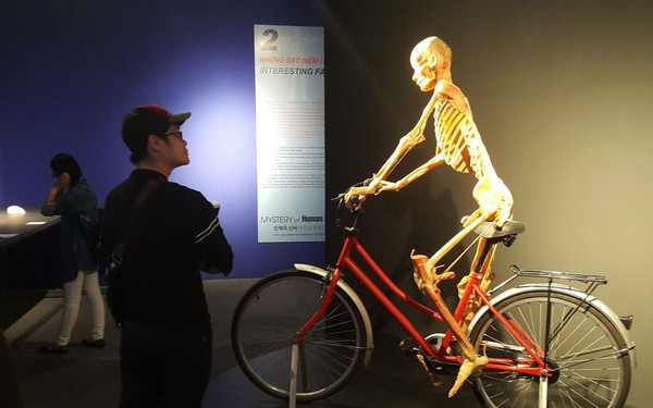 Do có những ý kiến về triển lãm Sự bí ẩn đặc biệt của cơ thể người, Sở Văn hóa - Thể thao TP.HCM được yêu cầu phải gửi báo cáo gấp về triển lãm này tới Bộ Văn hóa - Thể thao và Du lịch trước ngày 10/7. Ảnh Tuổi trẻ.