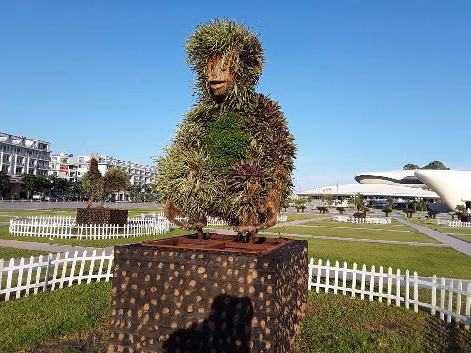 Thời gian gần đây, du khách và người dân Hạ Long khi đến tham quan quảng trường 30/10 (TP Hạ Long, Quảng Ninh) đã vô cùng bất ngờ khi loạt tượng 12 con giáp được bọc vải lưới có chọc lỗ thủng, bên trong thân có chứa đất để trồng hoa nhưng không được chăm sóc cẩn thận đã biến thành những con vật vô cùng kỳ quái, khiến người xem bật cười. Ảnh: cỏ dại mọc khắp tượng khỉ khiến con vật trở lên ngô nghê, ngộ nghĩnh.