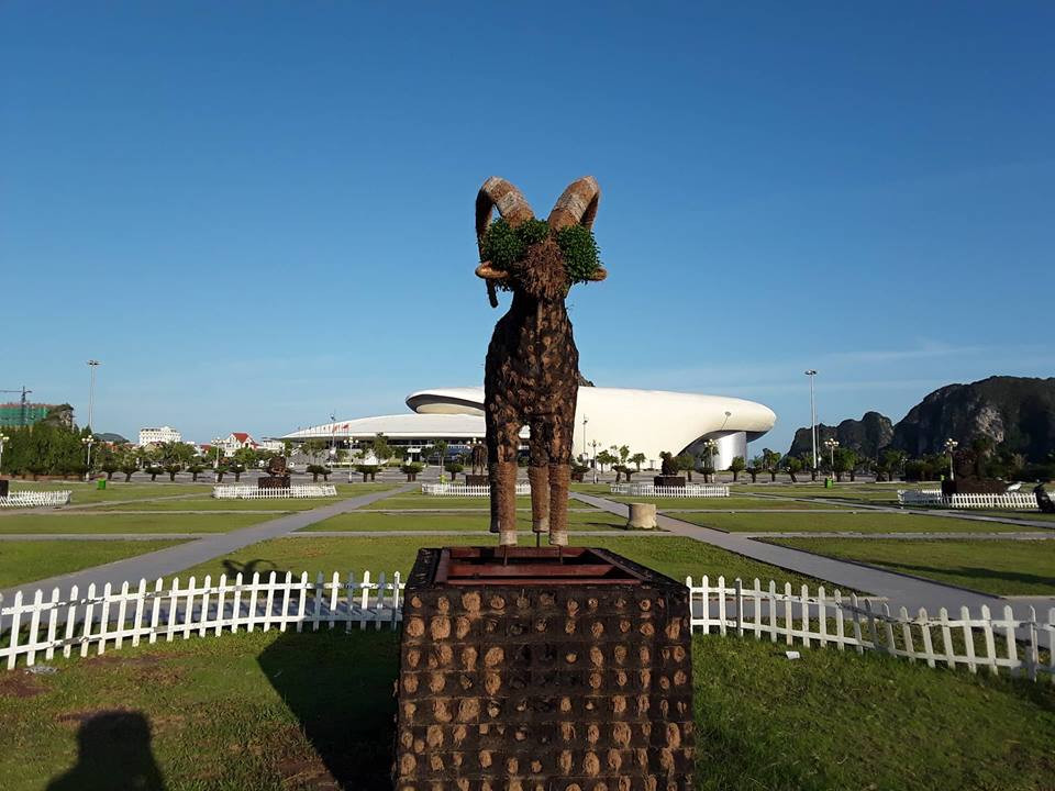 Chú dê vô cùng ngộ nghĩnh khi cỏ mọc tua tủa trên đầu.