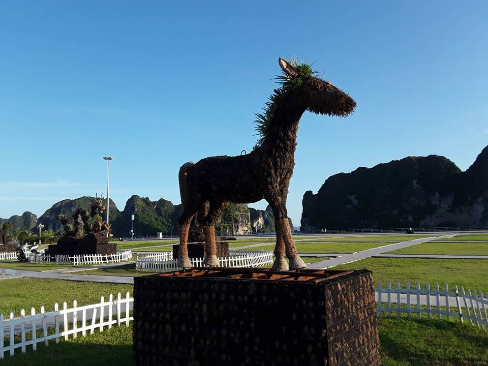 Ngựa "mọc râu".