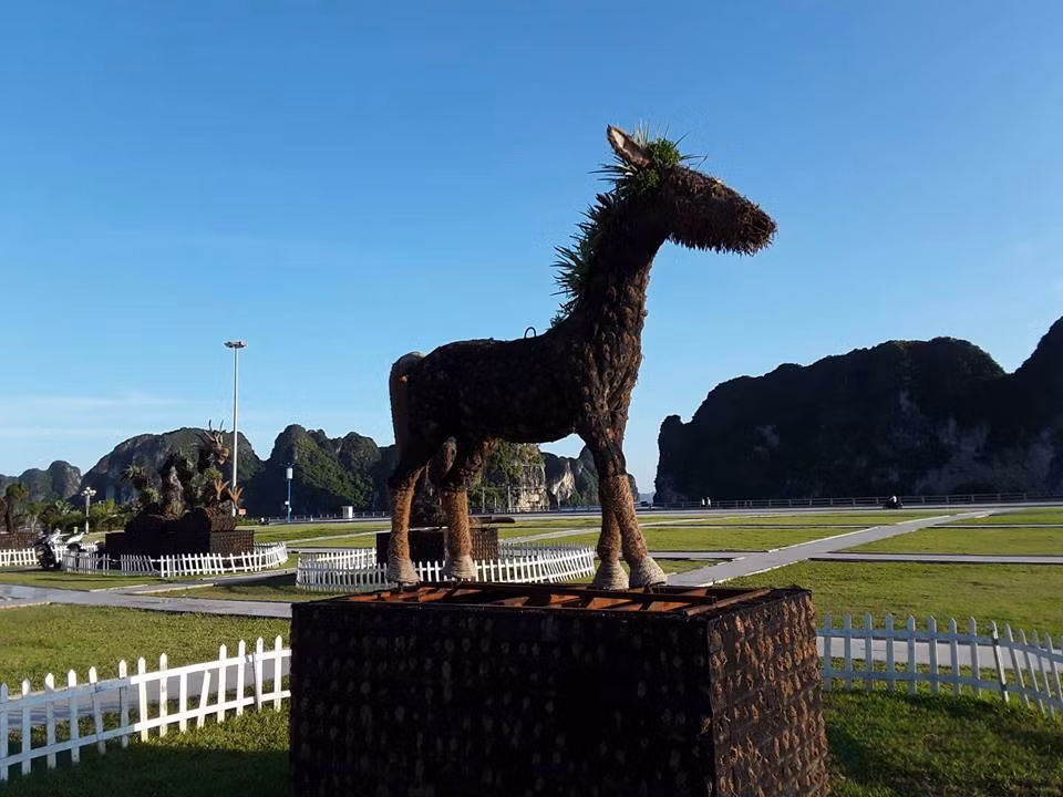 Ngựa "mọc râu".