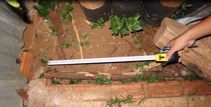 Vụ bí thư xã giết cháu thế mạng: Chiếm đoạt hơn 23 tỉ đồng của hàng chục người - Hình 3 Vu bi thu xa giet chau the mang: Chiem doat hon 23 ti dong cua hang chuc nguoi-Hinh-3