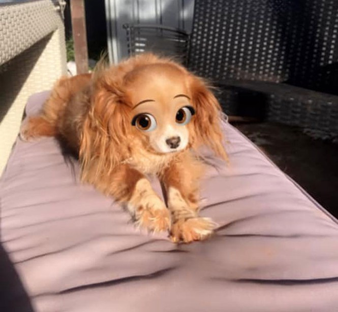 Đích thị một cô nàng tiểu thư sang chảnh. Ảnh: Brooke Marie