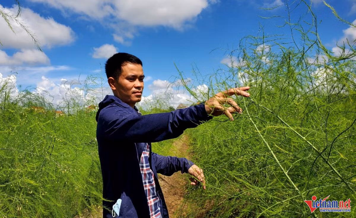 Thu lai tien trieu moi ngay nho trong mang tay