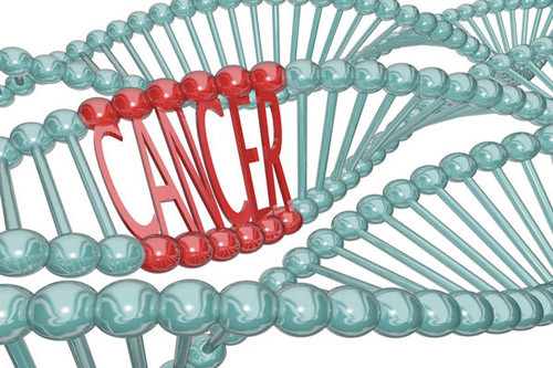 Một trong những ưu điểm vượt trội của chất xơ khi đi vào cơ thể là nó có thể ngăn ngừa ung thư, đặc biệt là ung thư đại tràng. Các chuyên gia sức khỏe cho biết, chế độ ăn giàu chất xơ góp phần giảm nguy cơ mắc ung thư ruột già (colon cancer). Làm được điều này bởi chúng giúp chất thải đi qua ruột già nhanh hơn, ngăn ngừa sự tích tụ các độc tố có khả năng gây bệnh.