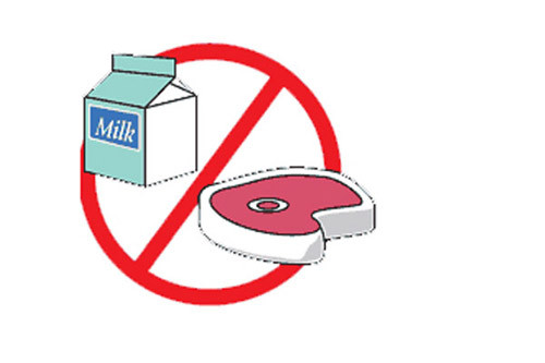 Trong khi rau xanh, trái cây là nguồn cung cấp chất xơ phong phú thì thịt và các sản phẩm từ sữa lại không chứa loại chất này.