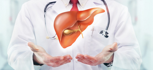 Giải độc gan. Không phải bây giờ người ta mới phát hiện tác dụng của hạt đu đủ. Nhiều thế kỉ trước, hạt đu đủ được sử dụng nhằm cải thiện chức năng hoạt động của gan; giúp gan loại bỏ độc tố.