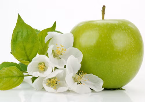 Nếu bạn có biểu hiện hay sợ ở những nơi chật hẹp như thang máy, tàu điện ngầm và tủ quần áo... thì bạn có thể ngửi một quả táo xanh, nó sẽ giúp bạn giảm bớt sự lo lắng.