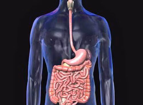 Cải thiện hệ tiêu hóa. Ngoài tác dụng lý tưởng cho thận, nước dừa còn rất tốt cho hệ tiêu hóa. Thậm chí, tác dụng của nước dừa mang lại cho hệ tiêu hóa được so sánh tương đương với việc cung cấp lượng chất xơ đúng chuẩn.