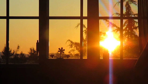 Tiếp xúc với ánh sáng mặt trời. Sau một đêm mất ngủ, bạn chỉ muốn được ngủ thêm vài giờ song điều này khó có thể đạt được bởi đã tới giờ đi làm. Lúc này, nên cố gắng ngồi dậy mở rèm để đón ban mai giúp cơ thể ngừng sản xuất melatonin (hormone được sản xuất ở tuyến tùng, có liên quan với cơn buồn ngủ), “đánh thức” toàn bộ cơ thể chào ngày mới.