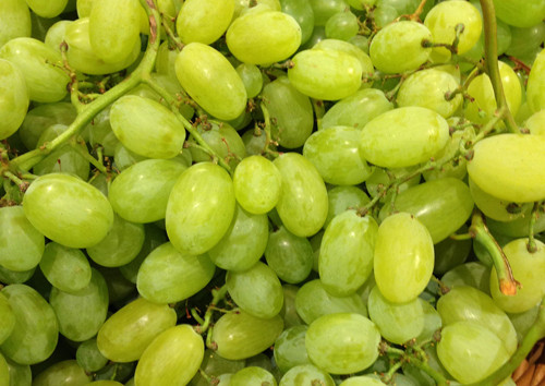 Nho cũng thuộc nhóm thực phẩm trẻ thường ăn song dễ mắc nghẹn. Việc cắt nhỏ chúng, loại bỏ hạt để cho trẻ ăn hết sức cần thiết.