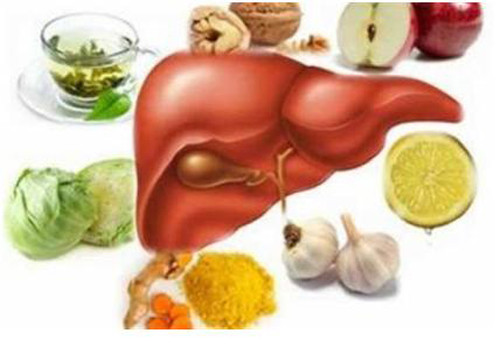 Thực tế, cơ thể có hệ thống gồm gan, thận và hệ tiêu hóa đảm nhiệm chức năng giải độc, loại bỏ chất có hại. Ngoài ra, các loại enzym cũng góp phần tích cực đẩy độc tố, sản phẩm phụ ra ngoài.