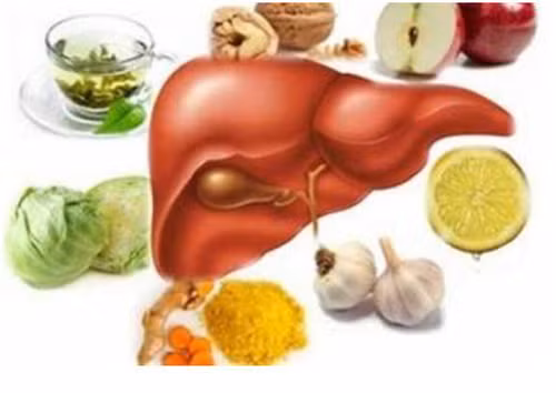 Thực tế, cơ thể có hệ thống gồm gan, thận và hệ tiêu hóa đảm nhiệm chức năng giải độc, loại bỏ chất có hại. Ngoài ra, các loại enzym cũng góp phần tích cực đẩy độc tố, sản phẩm phụ ra ngoài.